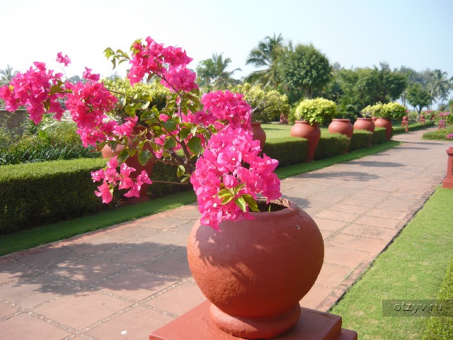 Отель The Lalit Golf & Spa Goa